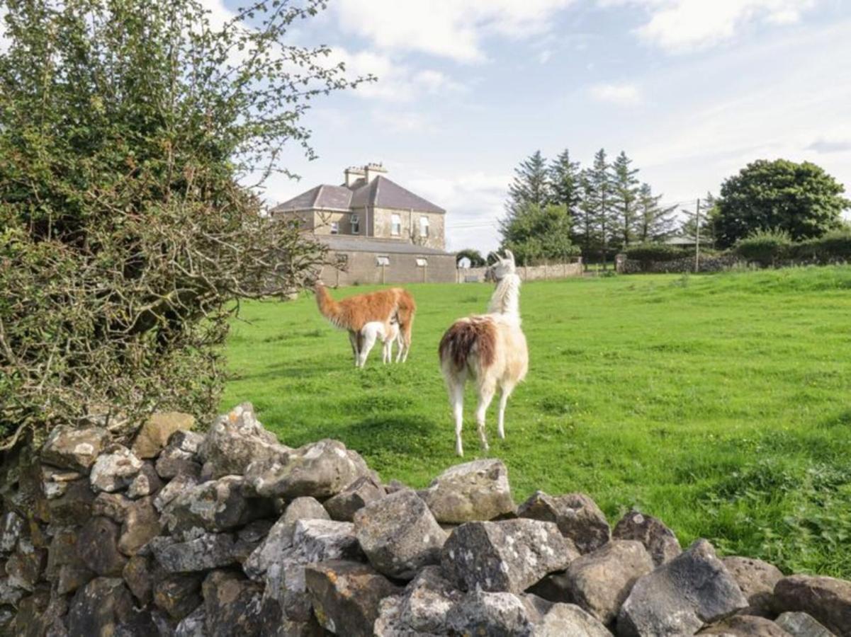 The Beautiful Lazy Llama Shepherd Hut Farm Stay Ballyshannon Εξωτερικό φωτογραφία