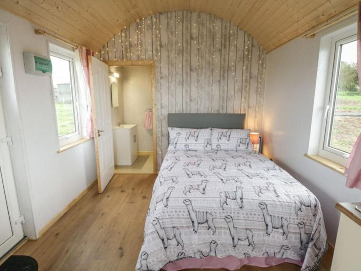 The Beautiful Lazy Llama Shepherd Hut Farm Stay Ballyshannon Εξωτερικό φωτογραφία