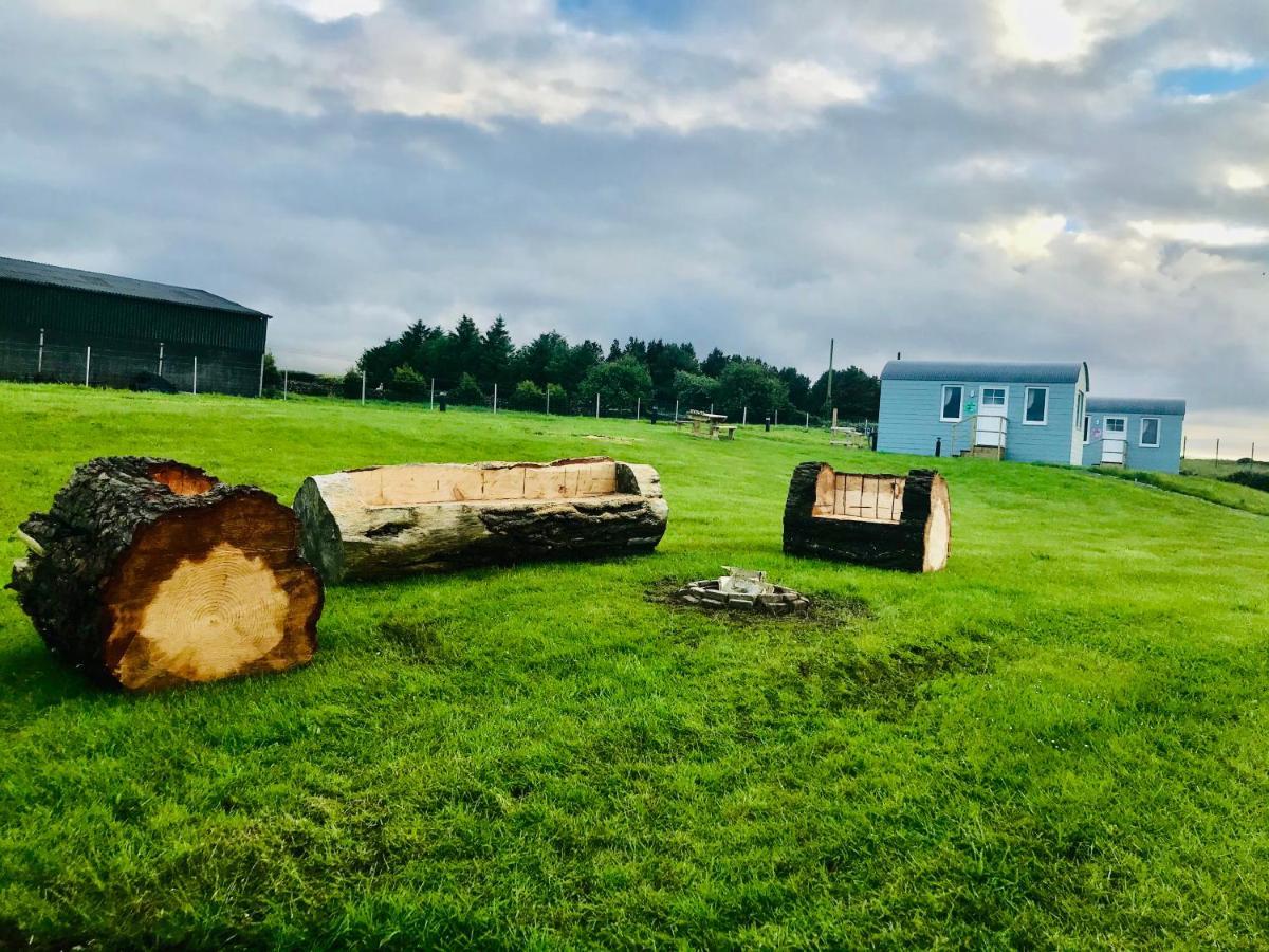 The Beautiful Lazy Llama Shepherd Hut Farm Stay Ballyshannon Εξωτερικό φωτογραφία
