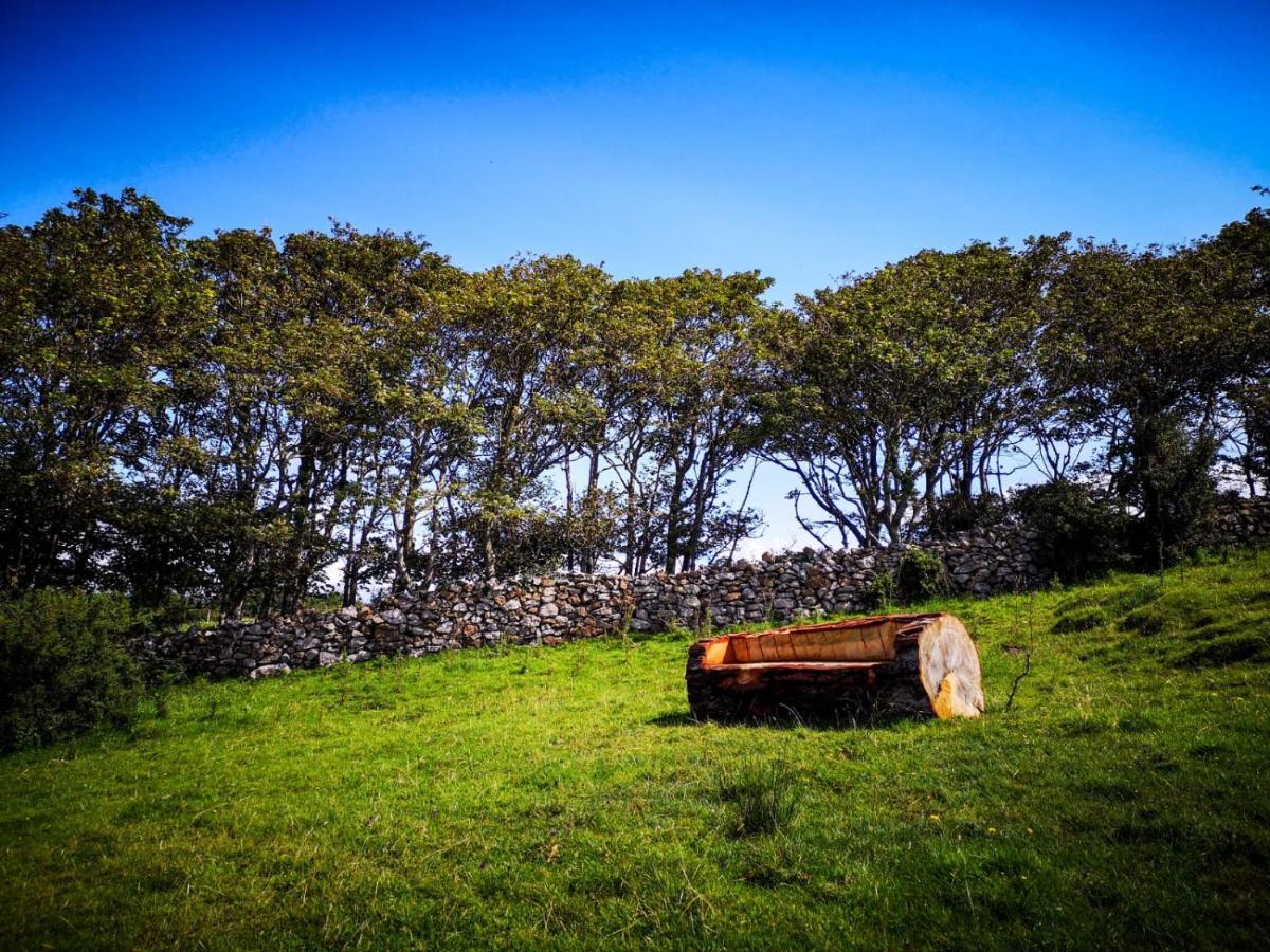 The Beautiful Lazy Llama Shepherd Hut Farm Stay Ballyshannon Εξωτερικό φωτογραφία