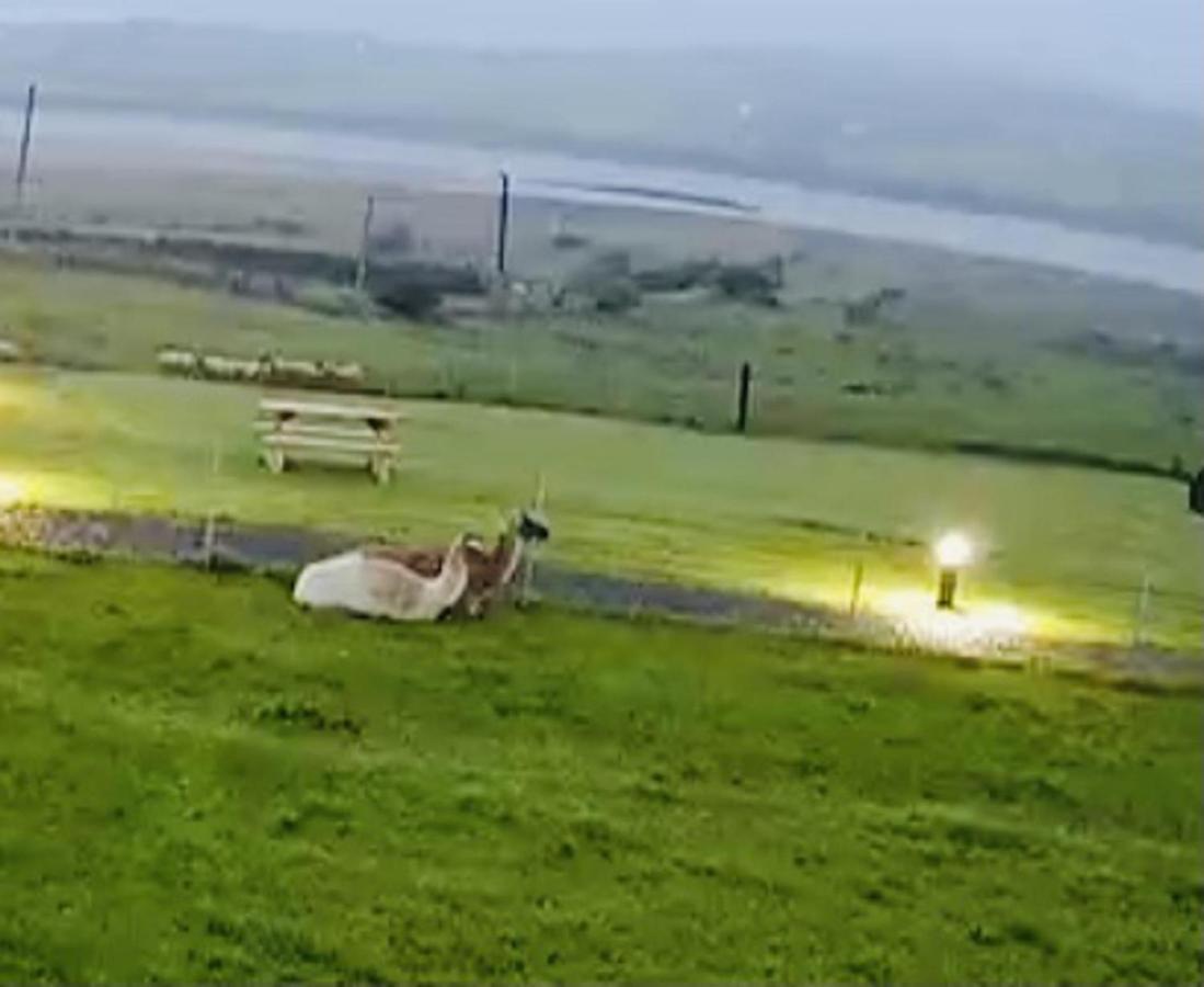 The Beautiful Lazy Llama Shepherd Hut Farm Stay Ballyshannon Εξωτερικό φωτογραφία