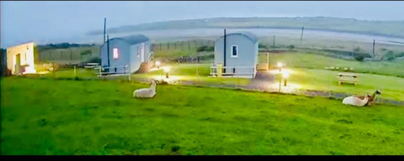 The Beautiful Lazy Llama Shepherd Hut Farm Stay Ballyshannon Εξωτερικό φωτογραφία